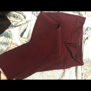 Limited stretchy Maroon pants straight leg